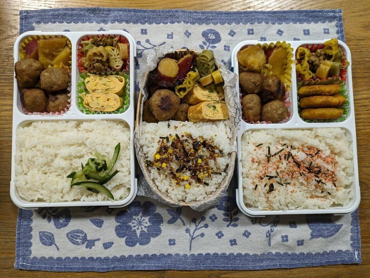 【お弁当】本日も節約弁当なり１３