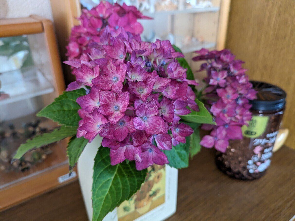 最近のちょっと嬉しかったこと