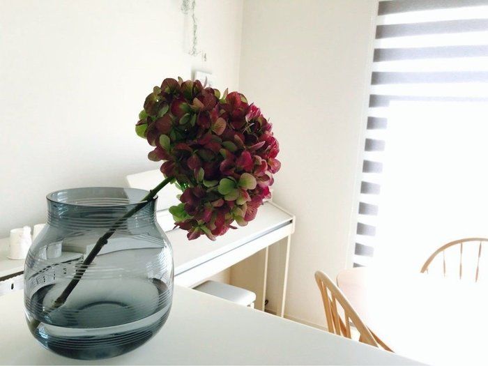 梅雨時期を心地よく乗り切る。私が楽しみにしてること3つ。