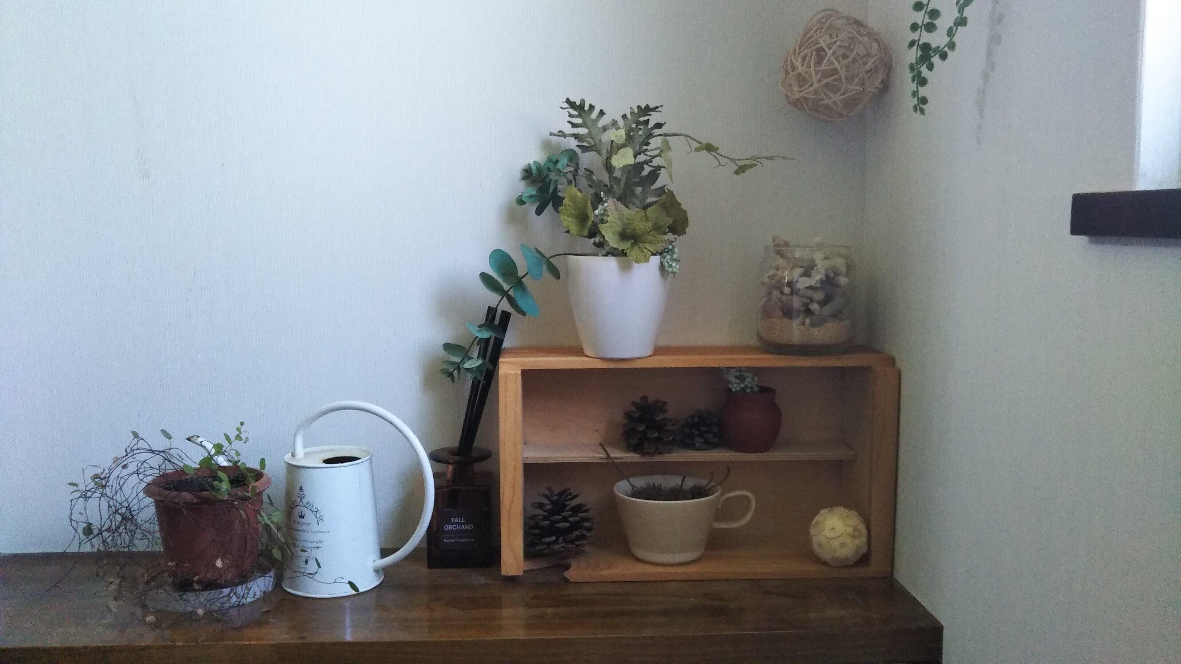 【自己紹介】4人子育て中のワーママ"しばた まゆ" です