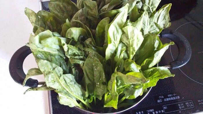 野菜が足りている人は3人に1人未満しかいない⁉野菜不足を解消するために取り入れるべきコツ【3選】