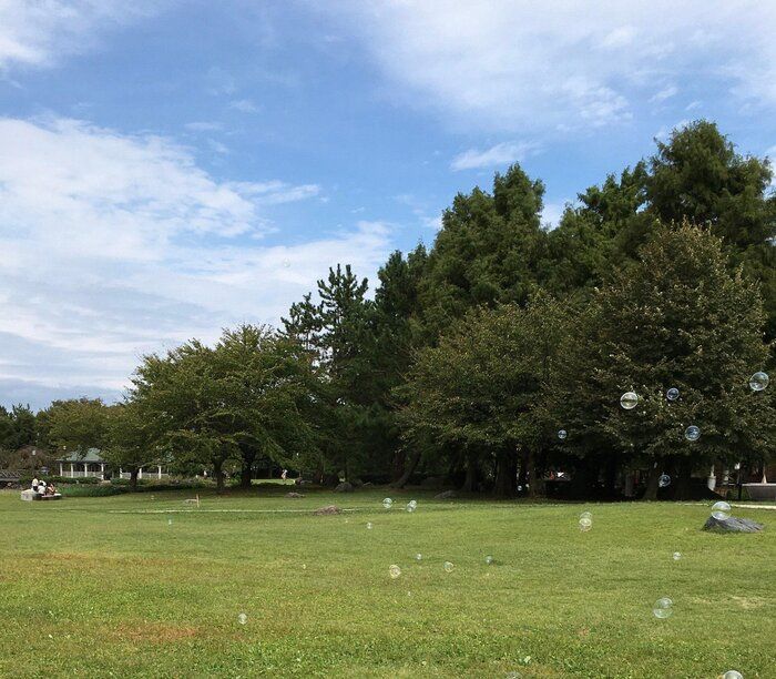 【やらないと絶対に損！】元浪費家主婦が年１００万円貯める休日の過ごし方５選