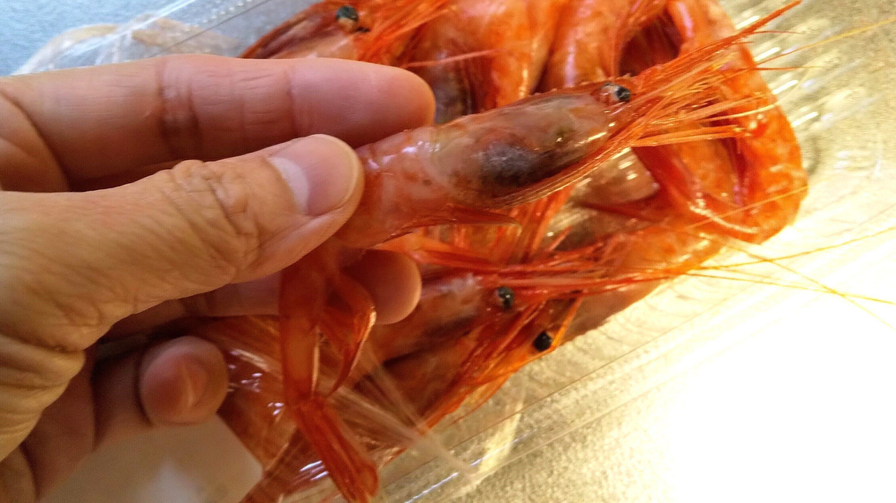 むいて捨てちゃダメ！えびを「殻ごと」食べるべき理由と食べやすくする方法