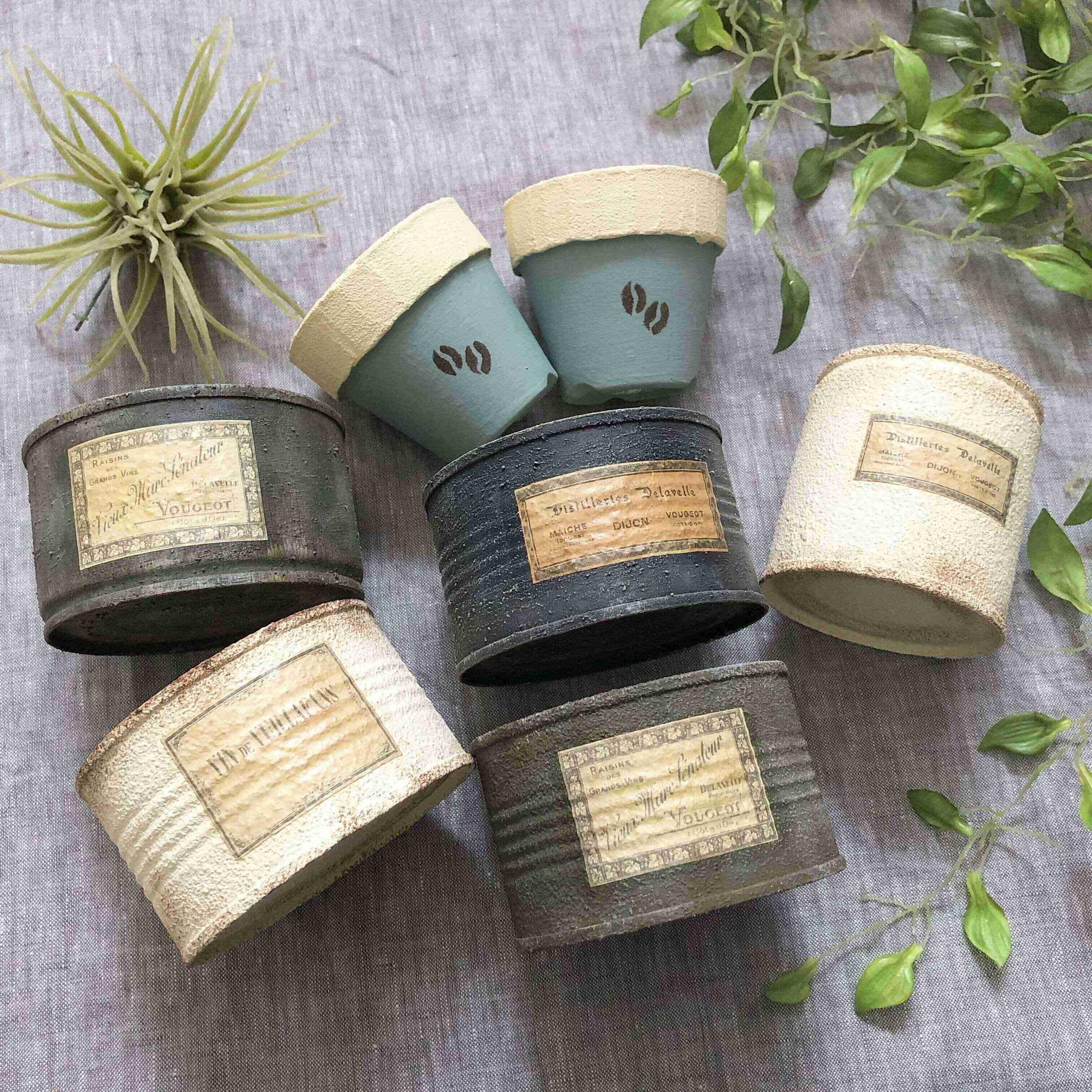 【多肉植物】イベントの季節到来！ハンドメイドマルシェで多肉を選ぶメリット3選