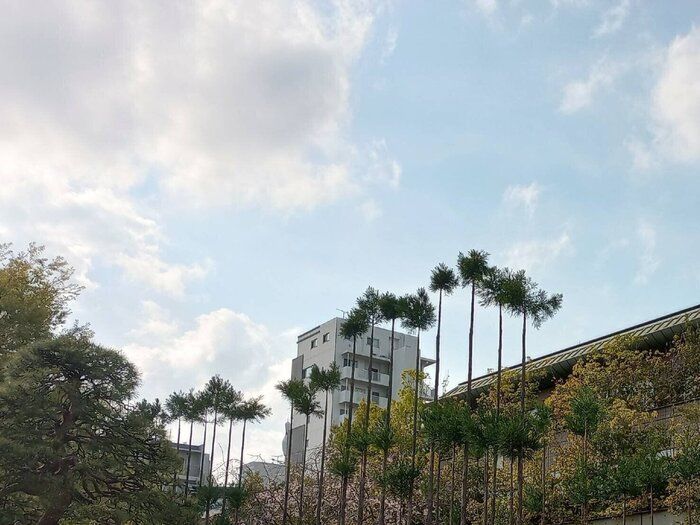 曇天の紫外線はどのくらい？安心できないワケは「曇り」の定義にあった！予報士解説