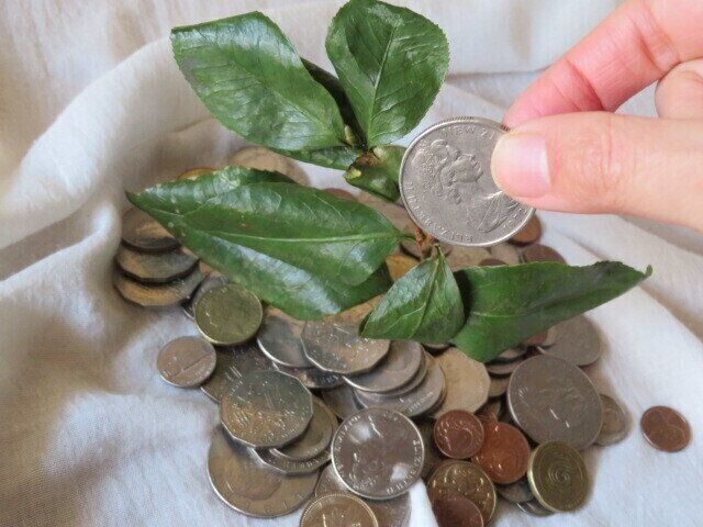 投資で損をしないためには？証券マンの祖父に教わった運用の極意