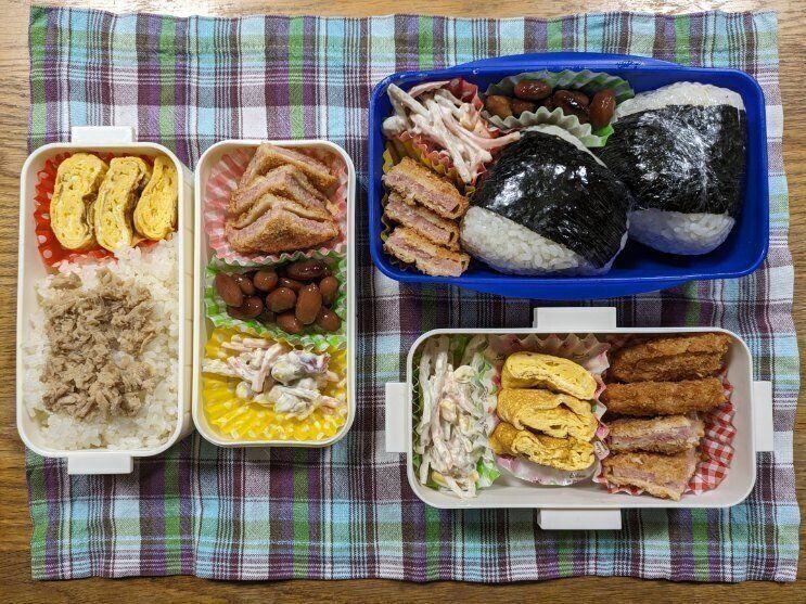 【お弁当】本日も節約弁当なり１０