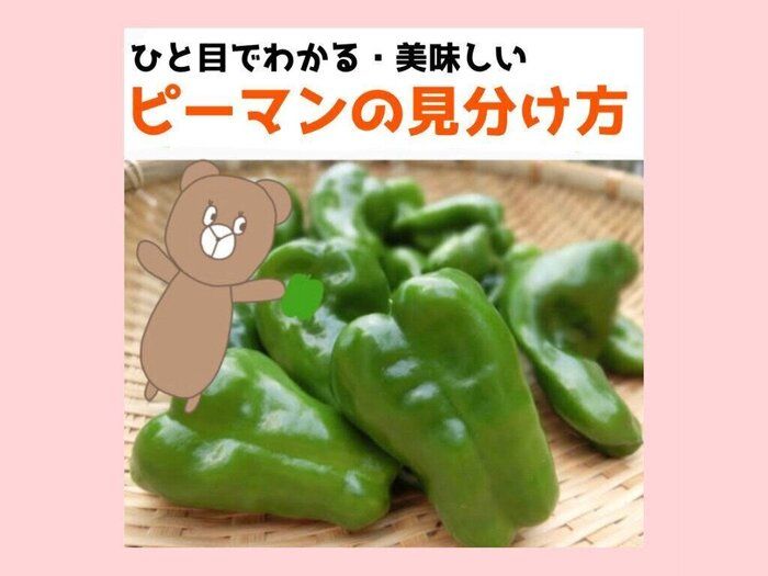 ひと目でわかる美味しいピーマンの見分け方