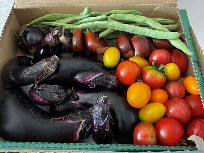 半額！メルカリで食費を2000円→1000円にした方法