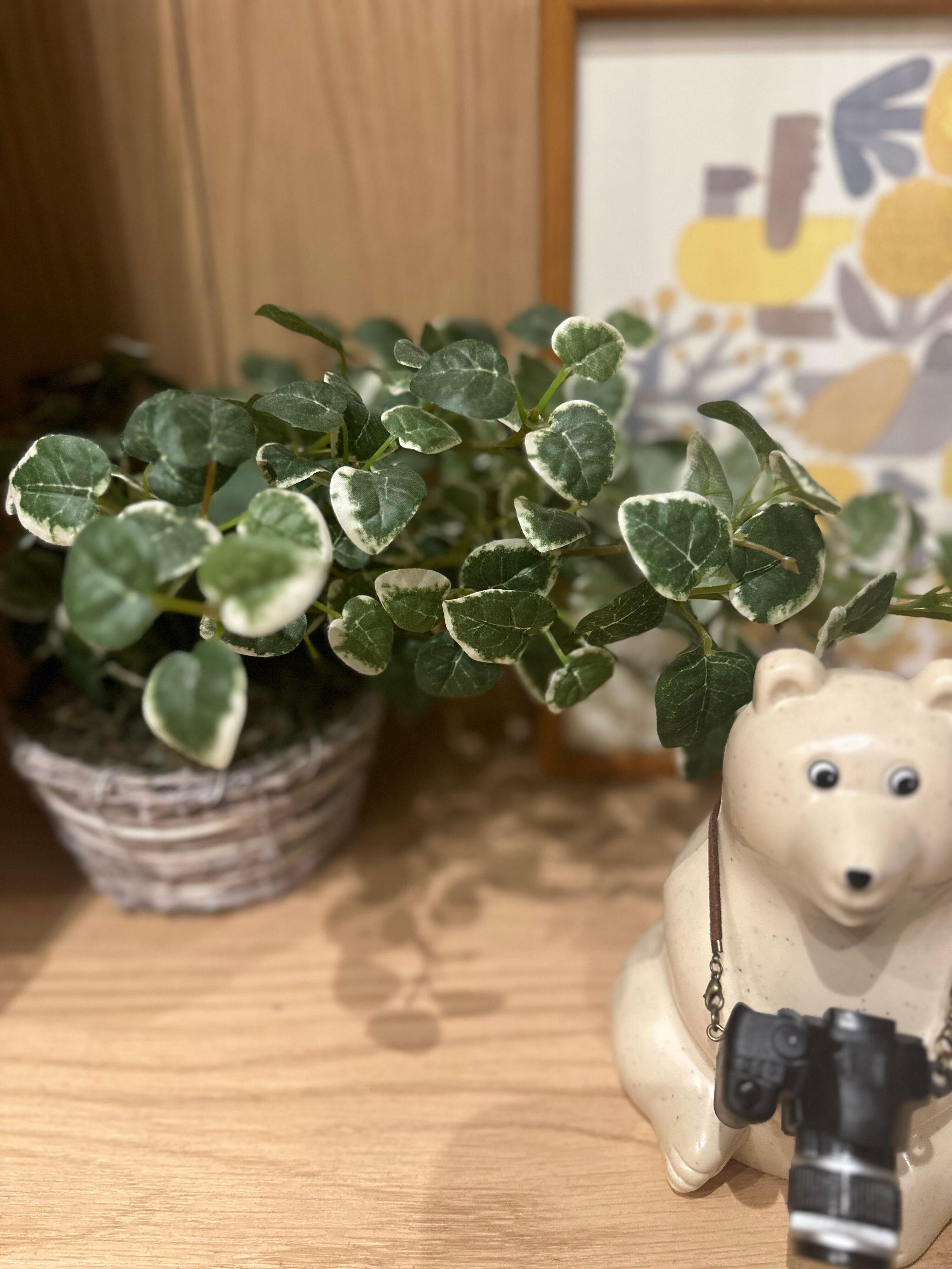 【片付け】季節の変わり目にやっておくと楽なこと3選とは？！