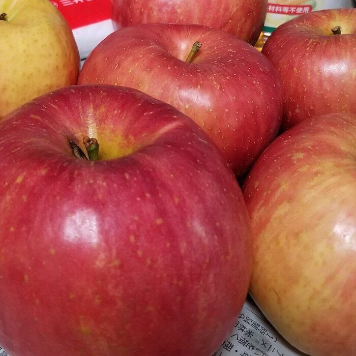 ズボラ主婦がめんどくさくても毎年作る　おいしいりんご活用術