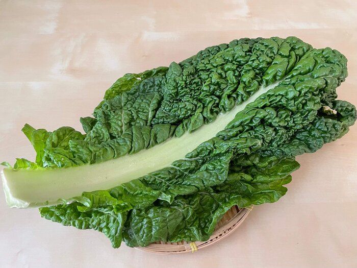 【勝つ野菜！？】かつお菜を食べて勝負や受験に勝とう！