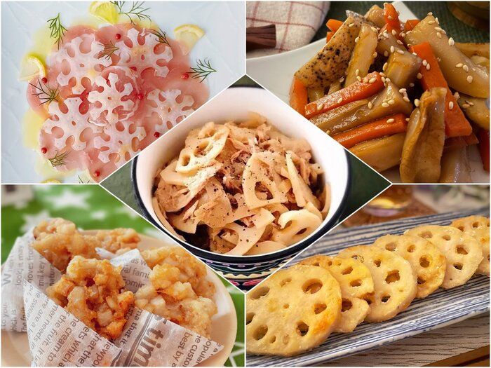 旬レンコンを味わいつくす！子どもから大人まで楽しめるレシピ5つ