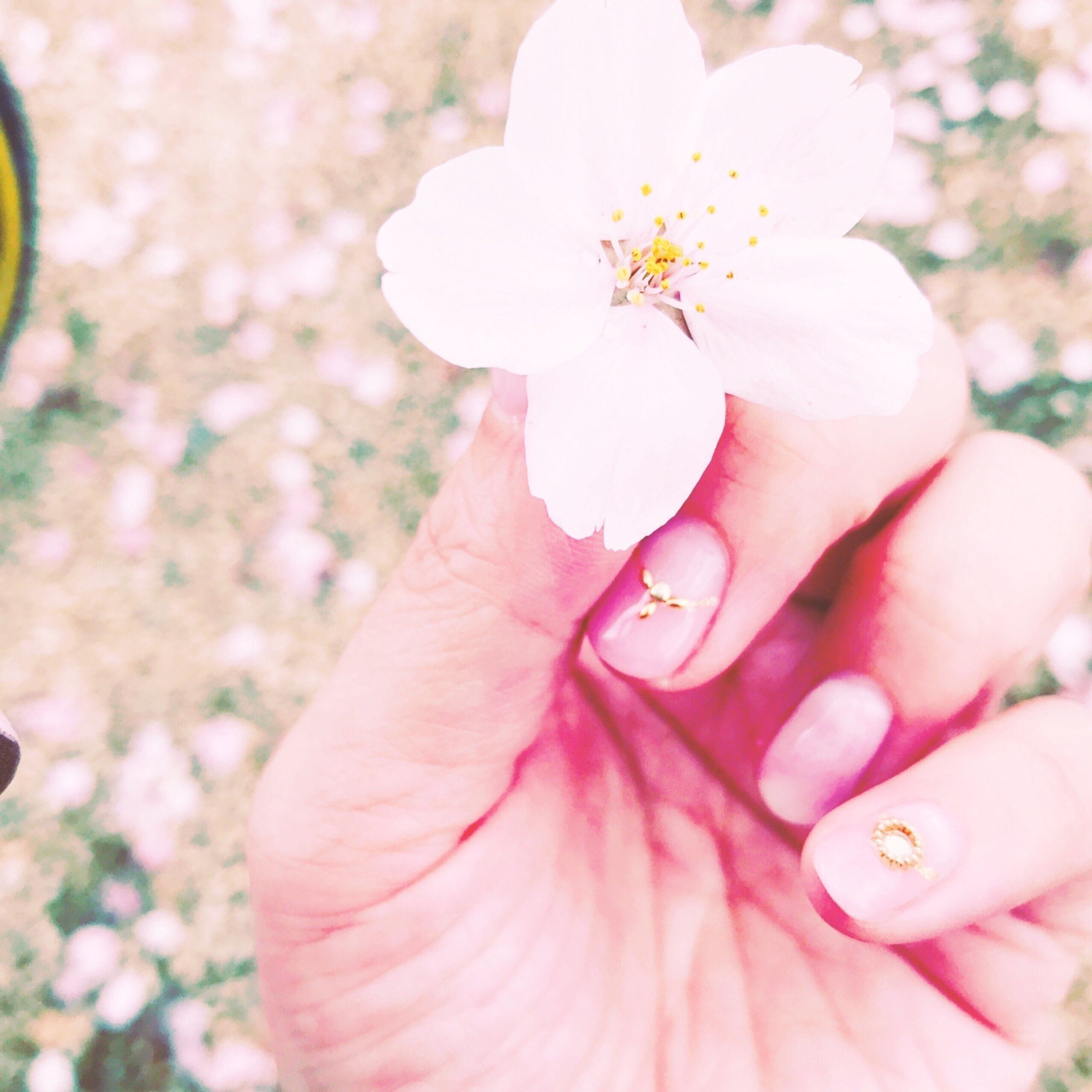 【自己紹介】シンママでも目指せ1000万円貯金のちぇそです！