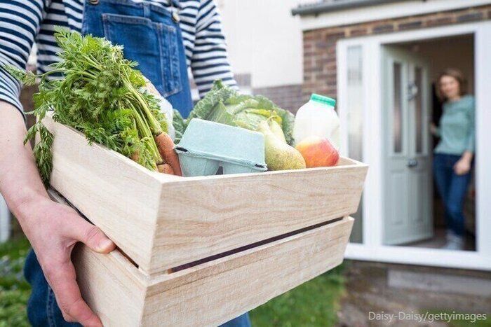 【家庭菜園】家庭菜園初心者が、畑をレンタル！これまで育てた野菜は11種類