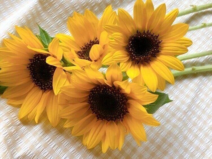 好きなことは変わっていく