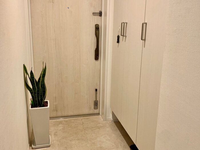 【楽天】玄関に観葉植物を迎え入れたことで見られた息子の変化