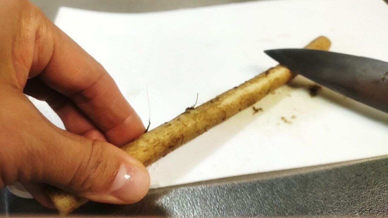 ごぼうの皮はピーラーでむく？包丁でむく？皮に含まれる成分とそのメリットもご紹介！