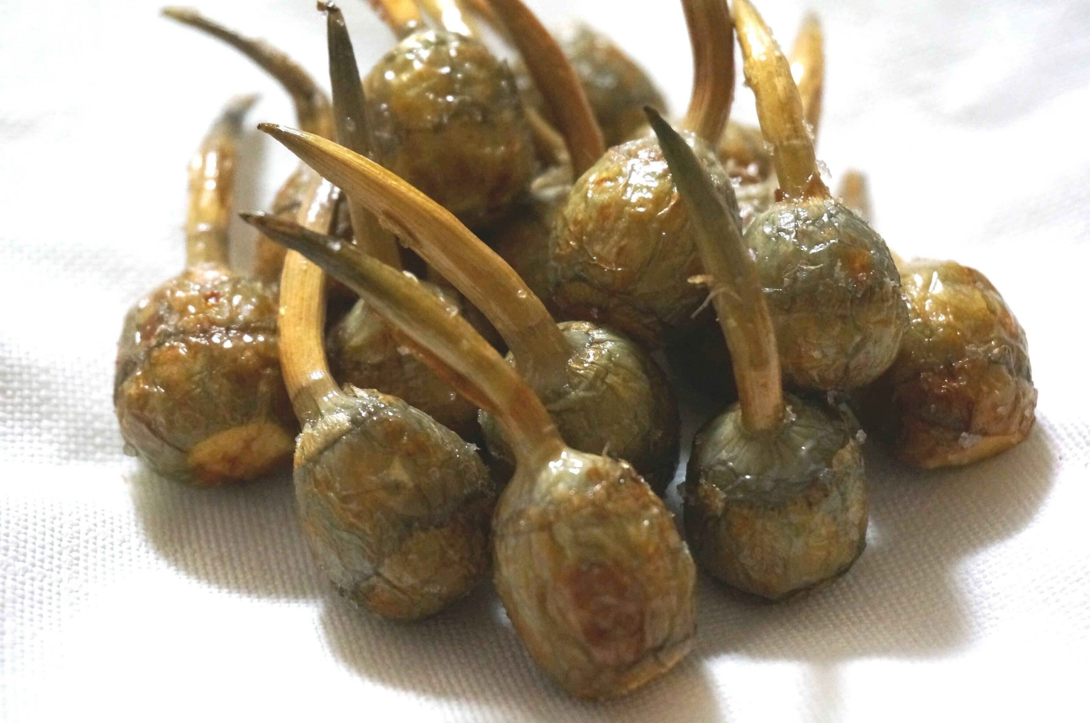 【旬食材】クワイ食べたことありますか？農家がおすすめ簡単レシピ