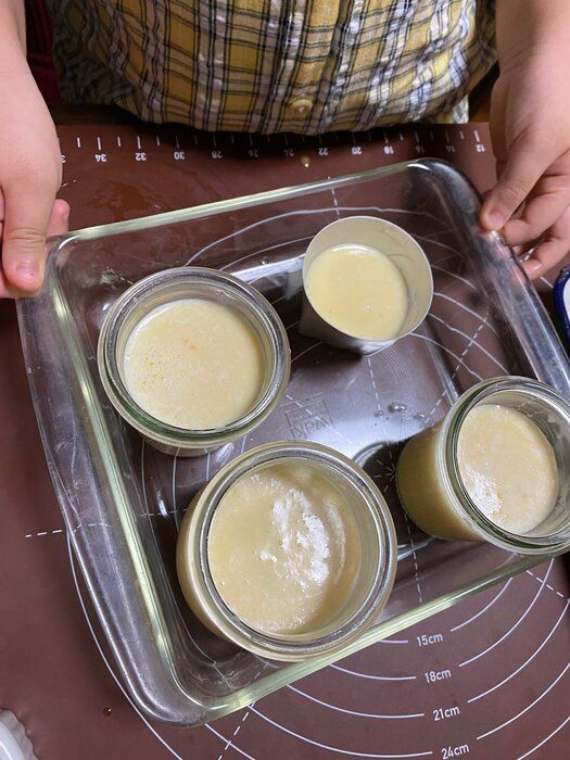 【本格手作りプリン】娘とたまごについて調べてから作ってみました。コンビニスイーツは越えた！