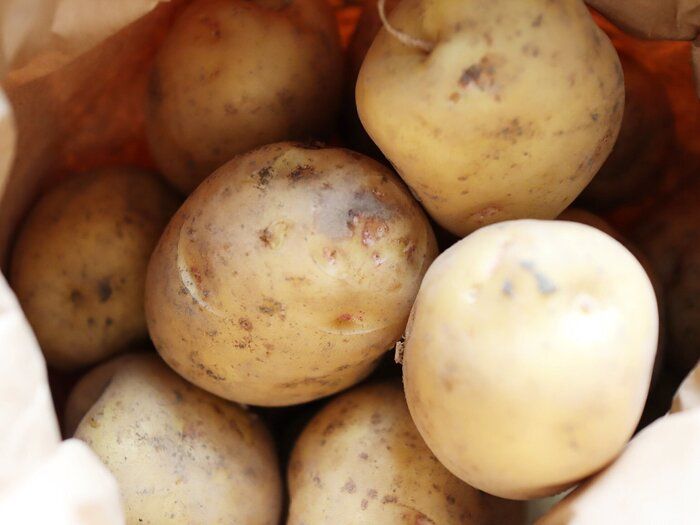 覚えておきたい！旬の「新じゃがいも」の正しい保存方法