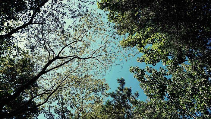 【エコ】地球に優しい生活をする人の洗濯ルーティーン