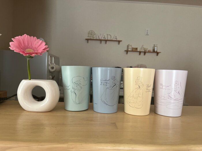 【スリーピー】ディズニープリンセスのステンレスタンブラー