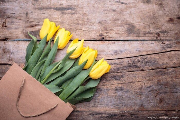 気持ちよく暮らすために心がけている10のこと