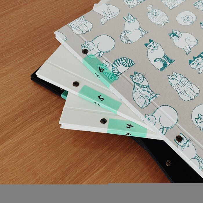 【子どものアルバムどうしてる？】忙しくとも続けやすい！ずぼらママのシンプルな写真整理術