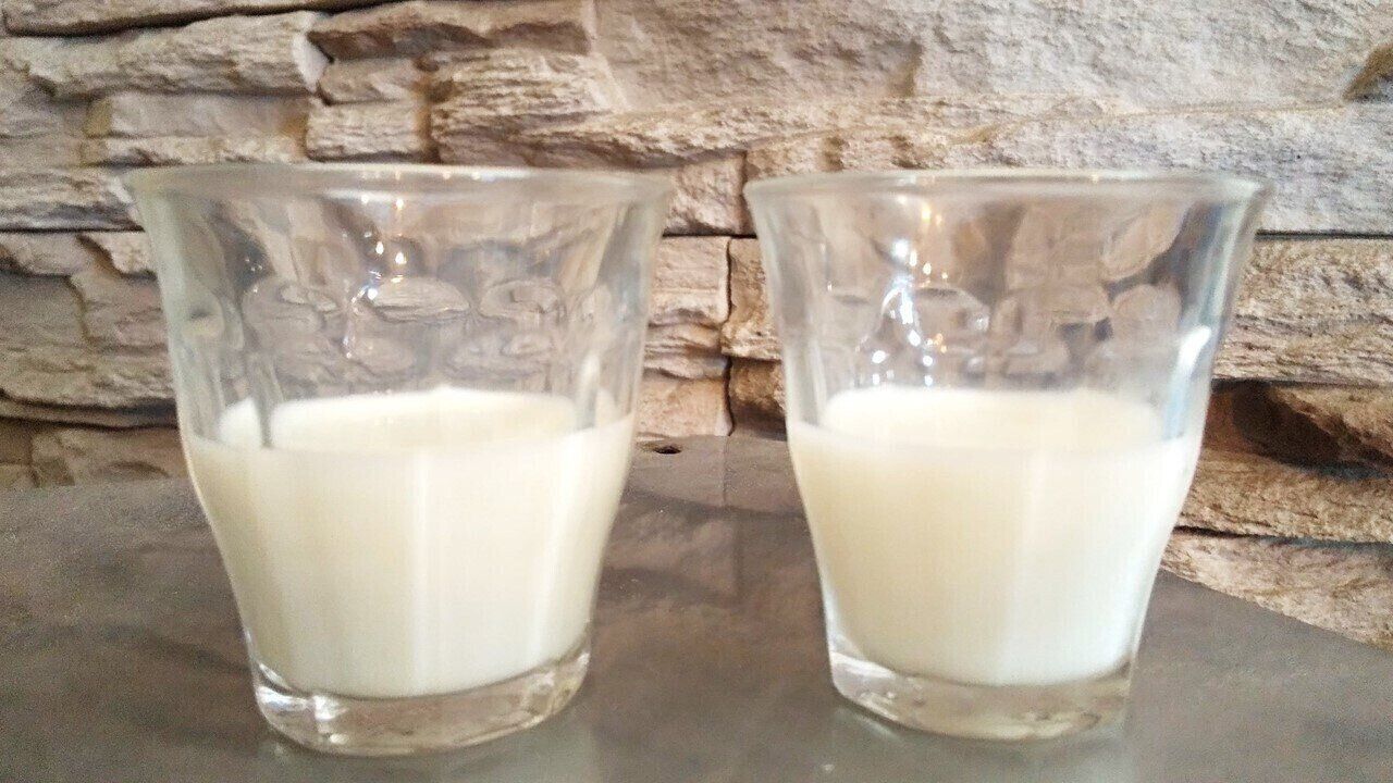 たんぱく質マニアの管理栄養士が「高たんぱく牛乳」を飲んでみた！一般的な牛乳との違いやおすすめの活用方法をご紹介