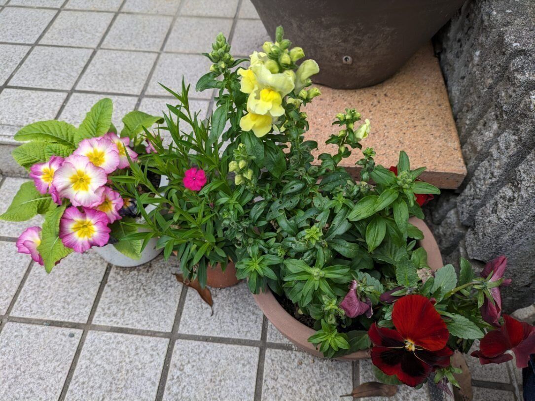 【節約】私のちょっとした贅沢