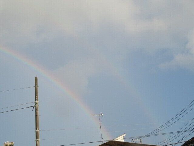 暑いうちに洗濯しないと悲劇！夏しか洗えないたった1つのもの