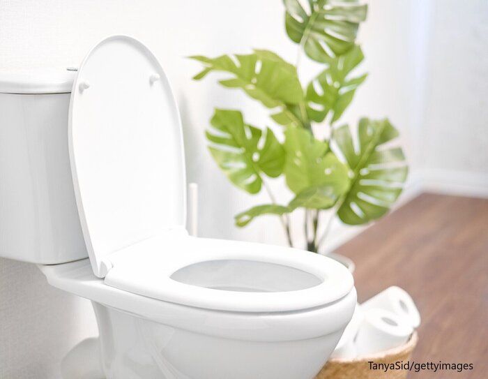 トイレの買い替えを機に掃除も見直し！再び使い始めたトイレグッズはこれ！