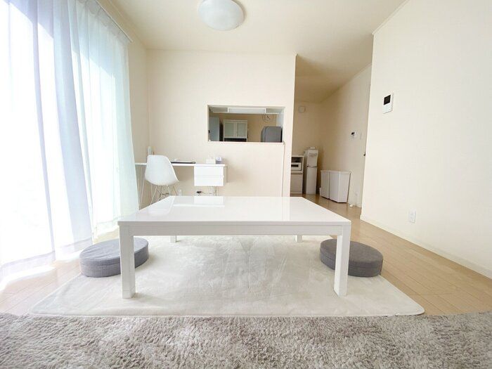 【ズボラなミニマリストが選ぶ】リビングラグ