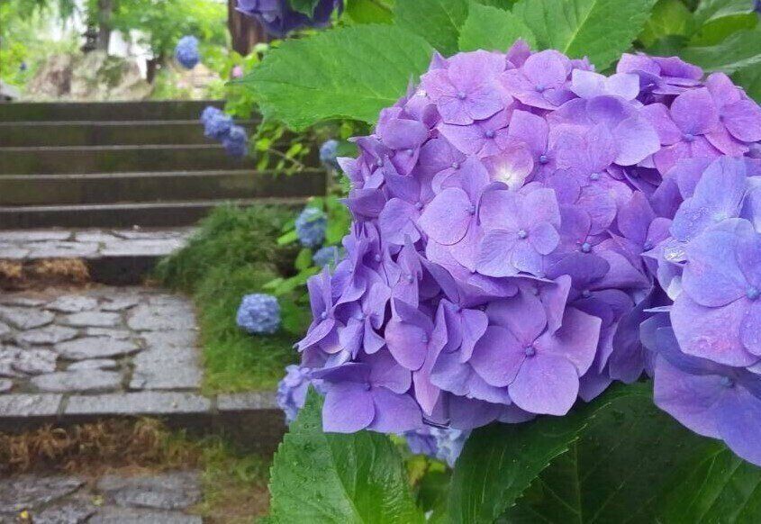 梅雨は掃除に不適と思っていない？じつは梅雨に掃除すべき場所を気象予報士が解説