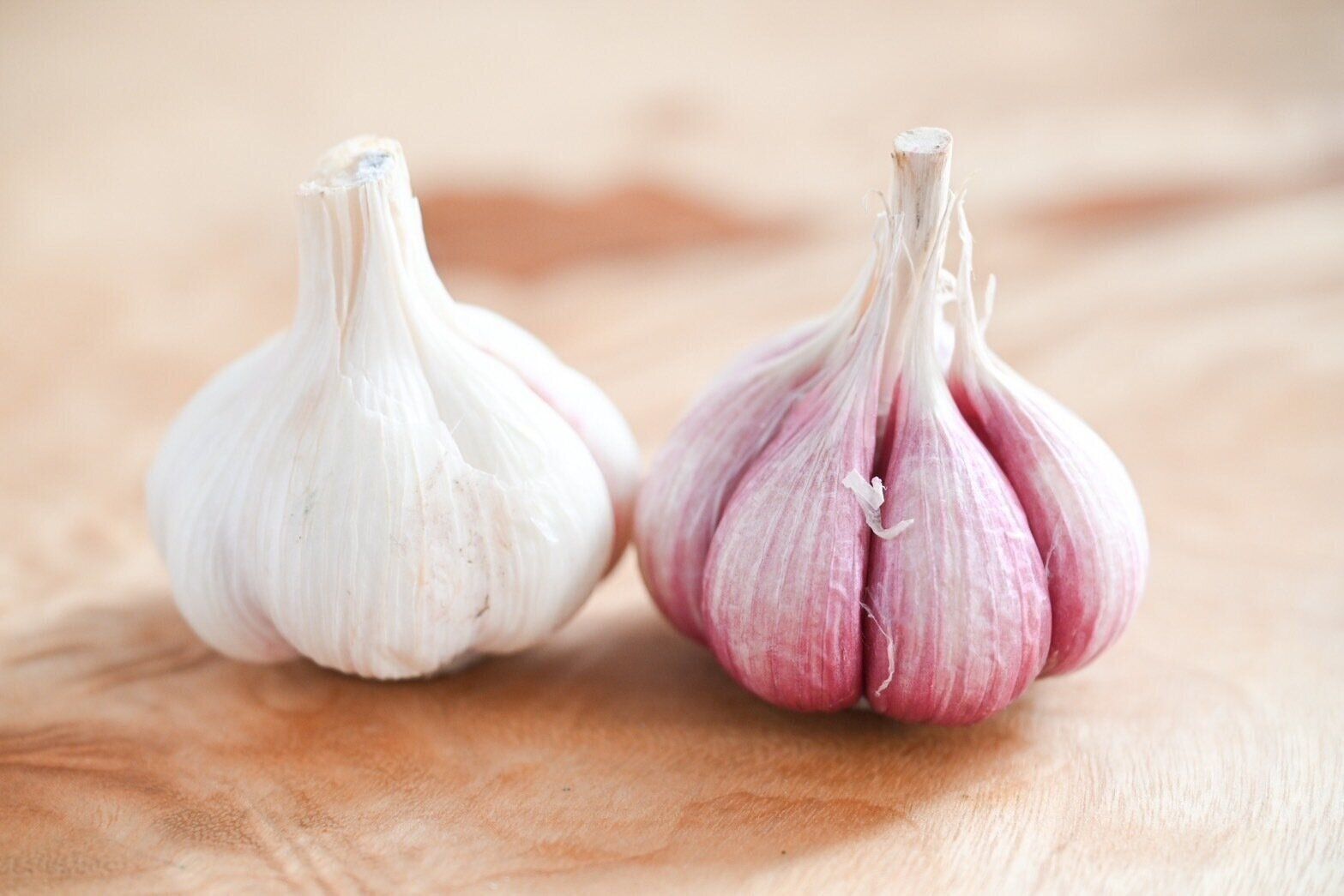 【旬食材】普通のとは何が違う？今しか味わえない新にんにくをおいしく食べよう