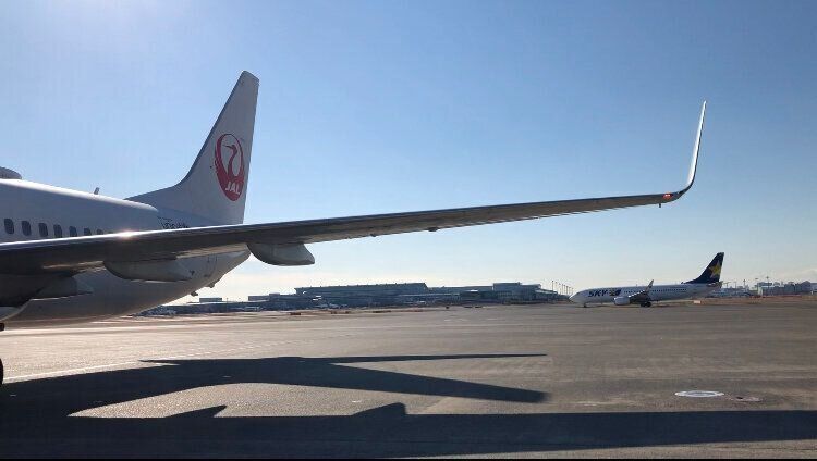 夏休みの挑戦！子ども1人で飛行機に乗れるって知ってる？航空会社のおすすめキッズサポート！