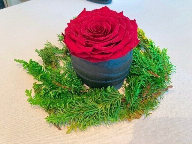 〈愉しくオバさんを生きていく。〉50歳手前にして、家族に褒められるようになった