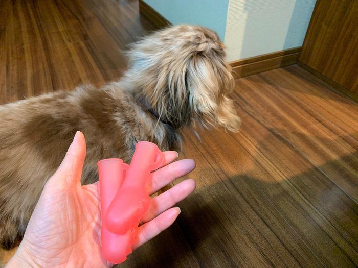 ワンコ用のブーツ