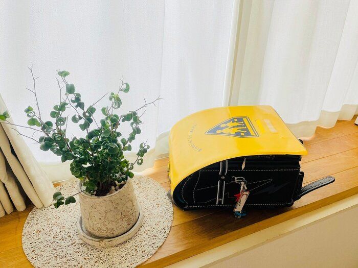 ｢学校に行きたくない。｣三兄弟の母の対応とずっと後悔していること