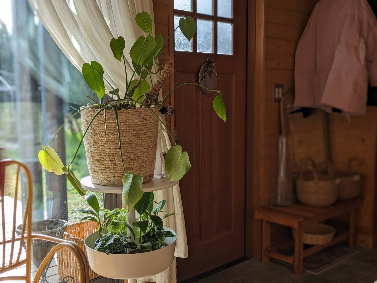 【ママの時間を確保】夏休みを乗り切る！今から始める「朝活習慣」のメリット2選