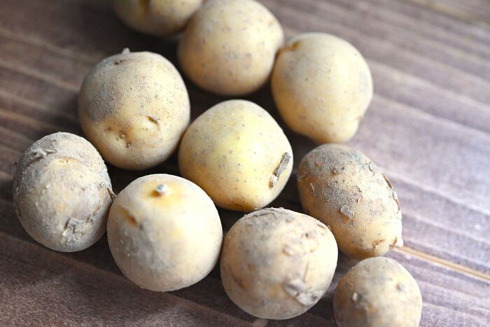 【旬食材】新じゃがいもを皮ごとおいしくいただこう！新じゃがいもの簡単副菜レシピ3選