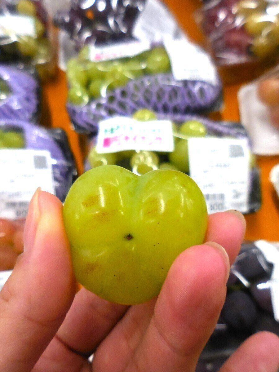 宝石のような果実を選び放題！フルーツ王国・山形で野菜ソムリエがおすすめするお土産とは