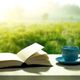 読書で世界を旅しよう!おうちで旅気分を味わえる本3選