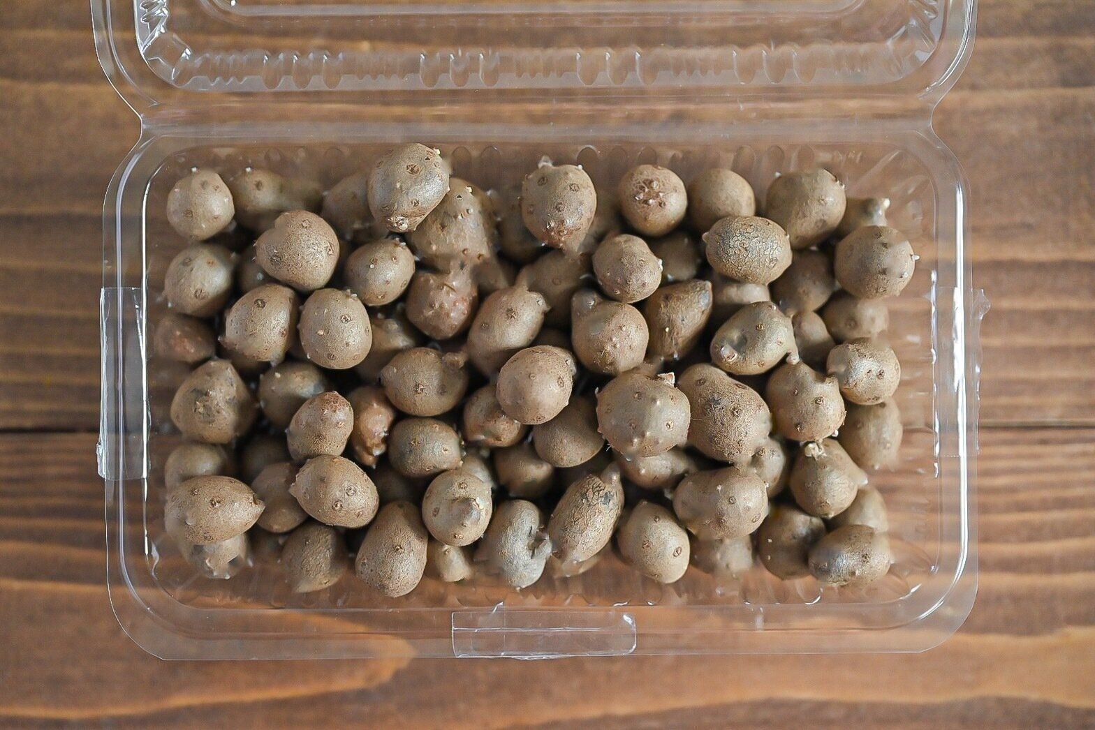 【旬食材】ほくほく食感にやみつき！「むかご」って知ってる？＆メイン食材むかごだけで作れる簡単レシピ3選