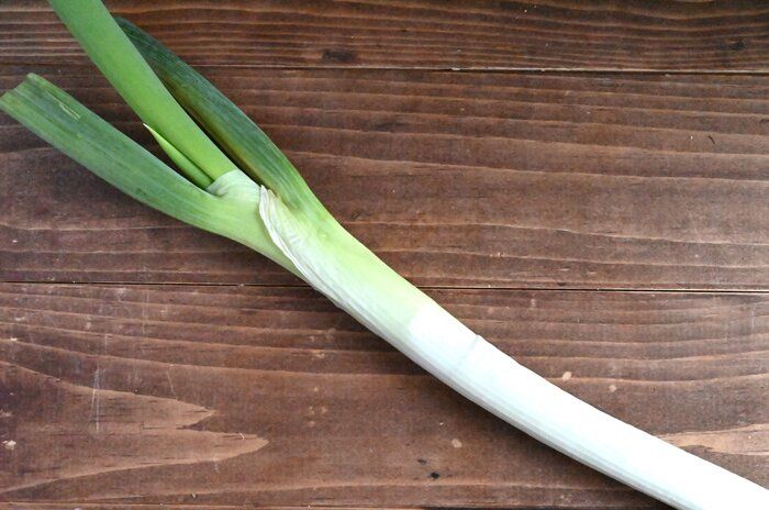 【旬食材】長ねぎの甘さを堪能しよう！長ねぎを使う簡単副菜レシピ3選