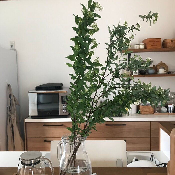 【自己紹介】はじめまして、新ライターになりましたyuuです♩