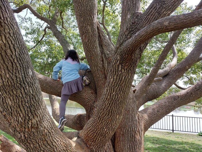 小学生ママが思う、低学年の【女の子の服選び】のポイント