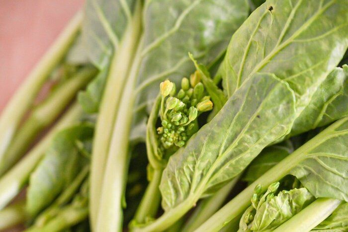 【旬食材】菜の花よりも辛さがないから食べやすい！「アスパラ菜」を取り入れて♪おすすめアレンジレシピ