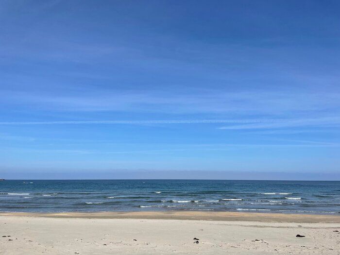 意外と映えない写真が好評？主婦ライターがつい撮ってしまう写真ベスト3